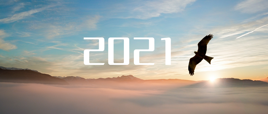 乘“峰”而上，智“盈”未来 ——2021年金年金字招牌(jinnian)环境高级资深副总裁新年开工动员